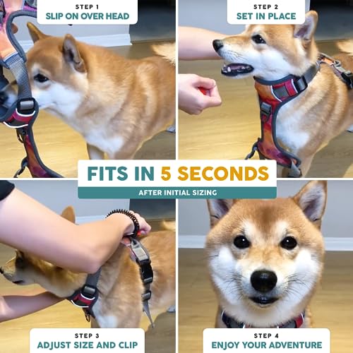 Embark No Pull Dog Harness (XL / Santa Monica)