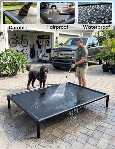 Elevated Dog Bed Waterproof Outdoor (XXL (56"L x 37.5"W x 9"H) / Grey)