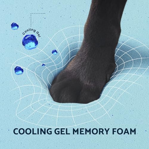 Orthopedic Memory Foam Dog Bed for Extra Large Dogs (XL (41x29x3.5") / Pad Style)