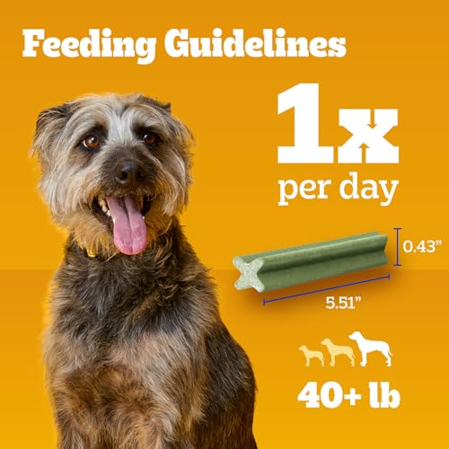 Dentastix Large Breed Dental Dog Treats (28 Count (Pack of 1))