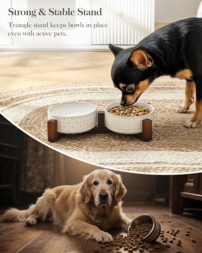 Dog Bowl Set Ceramic Bowls with Walnut Wood Stand (Rhombic+Polka Dots / 2 Cups)
