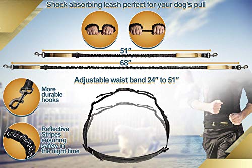 Hands Free Dog Leash (Premium Gold / 1 dog M/L)