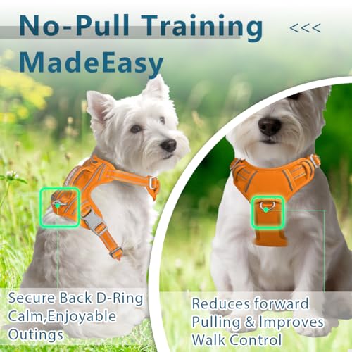 No Pull Dog Harness for Small Sized Dogs (Small(Chest:19.5-26”) / Pumpkin-Oxford)