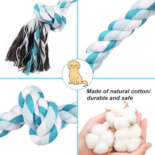Dog Rope Toys (Blue / Medium)