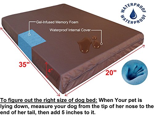 Orthopedic Gel Cooling Memory Foam Dog Bed with Waterproof Liner and External Canvas Cover for Small to Medium Pet 35X20X4 Inches (Medium 35" Length X 20" Width / Canvas in Black)