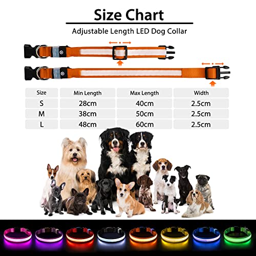 Light up Dog Collar (Orange / M(15 inch-19.7 inch))