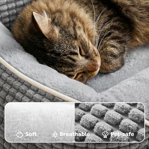 Square Dog Bed Medium Size Dog (Light Gray / 28"L x 22"W x 8"H)