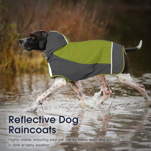 Dog Raincoats for Large Dogs (X-Large / Green)