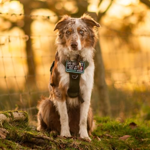Tactical Dog Harness for Small Dogs (S(Chest:16.1"-31.5",Neck:15.4"-21.6",Back:7.1") / Green)
