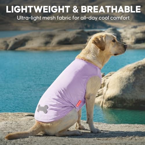 2Pack Dog Shirts for Medium Large Dogs Breathable Mesh Tank Top (XX-Large (40-55lbs) / 3# 2Pack (Dinosaur+Purple))