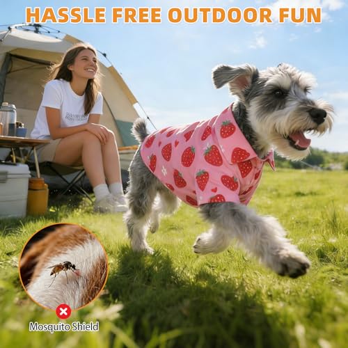 Spring Dog Shirt Outfit with Leash D (Small / Pink Strawberry)