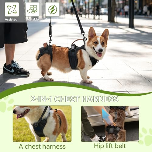 Dog Lift Harness for Male Dogs Full Body Support for Recovery & Mobility（M） (Chest Girth 21-27")