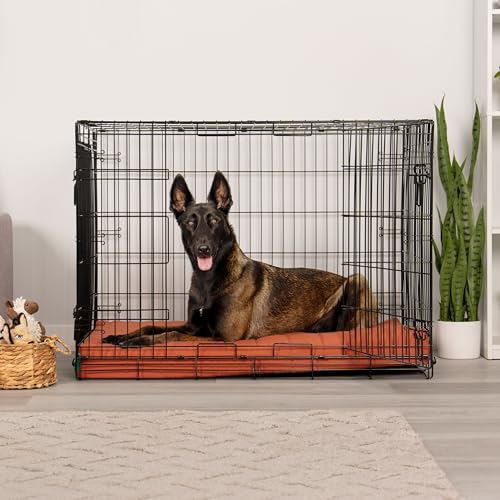 Orthopedic Dog Bed (X-Large / Rust)
