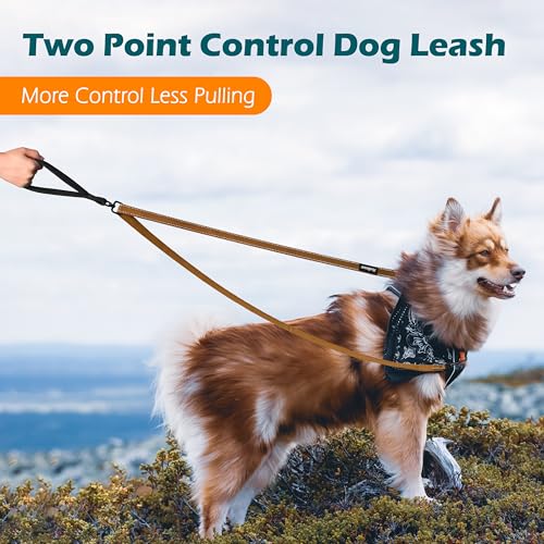 Two Point Control Dog Leash (Brown)