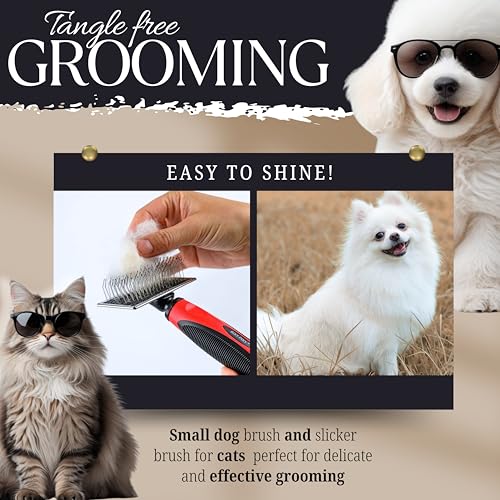 Mini Brush for Dogs and Cats (Mini Brush)
