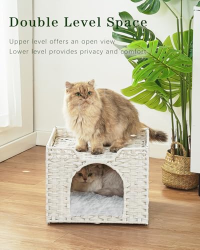 Cat Beds Indoor Kitten House (White / Rectangle-M)