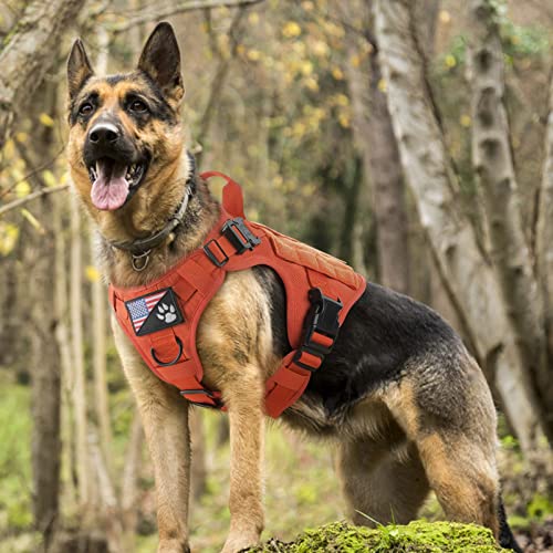 Tactical Dog Harness for Small (Orange / Small)