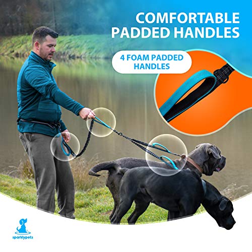 Hands Free Dual Dog Leash (Blue / 2 dogs M/L)