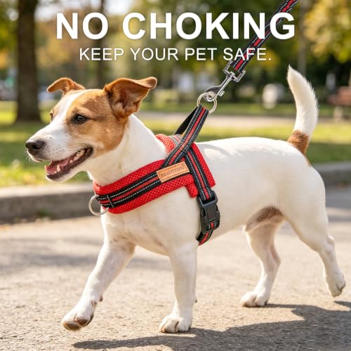 Small Dog Harness and Leash Set (Red & Black / S: Chest 17.5"-22")