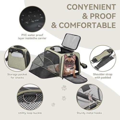 Large Double Expandable Cat Carrier for Large Cats and Small Dogs (19.0"L x 12.0"W x 12.0"H / Green)