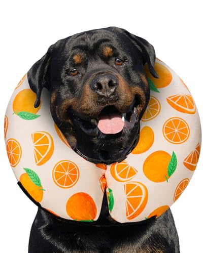 Inflatable Dog Cone (Tangerine / XL(21"-24"))