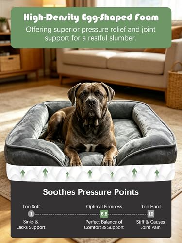 Orthopedic Dog Bed with Sides (53.0"L x 42.0"W x 8.0"Th / Dark Grey)