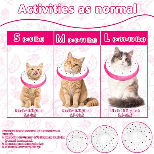 Cat Cone Collar Soft (Dragonfruit / Small)
