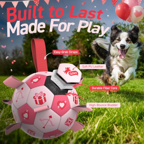Dog Birthday Toys (Pink / 8 Inch)