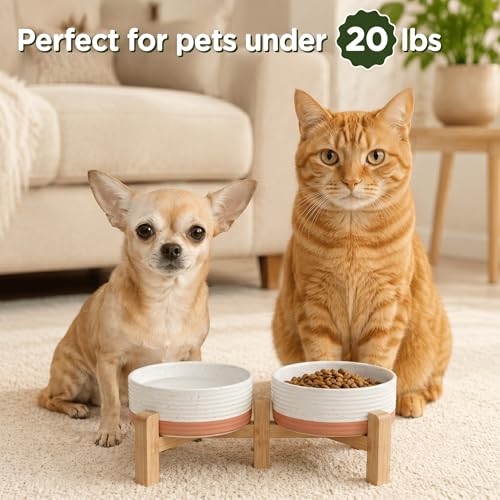 Elevated Dog Bowls Ceramic (5.1 in - 1.7 cups / Pattern White)