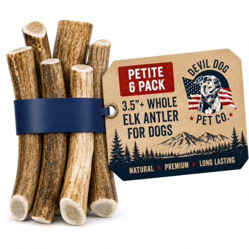 Whole Elk Antlers for Dogs (WHOLE - Petite - 6 Pack)
