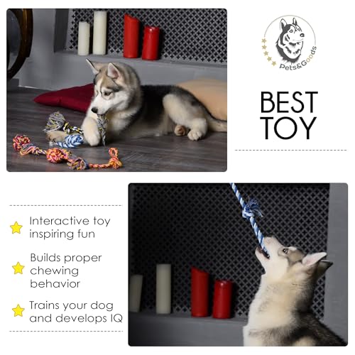 Dog Rope Chew Toys