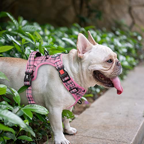 Plaid Dog Harness Medium (Medium / Checkered Pink)