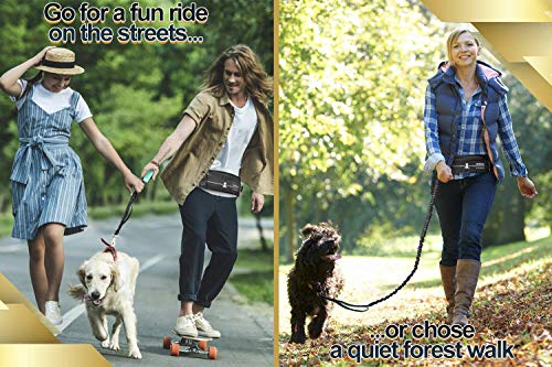 Hands Free Dog Leash (Premium Teal / 1 dog M/L)