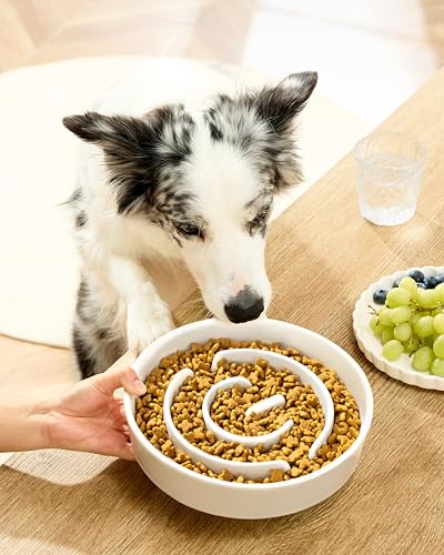Ceramic Slow Feeder Bowls for Large Dogs (White / 10 Inches)