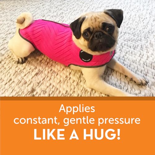 for Dogs Calming Anxiety Vest (Medium / Fuchsia)