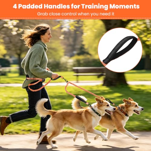 Hands Free Double Dog Leash (Orange)
