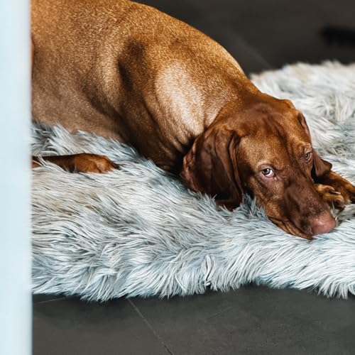 Faux Fur Orthopedic Dog Bed (Grey / Medium)