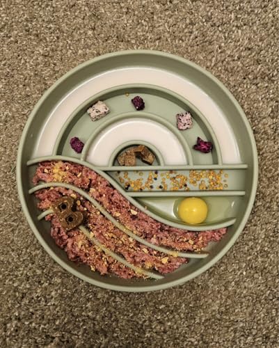 Slow Feeder Dog Bowl (Sage Green)