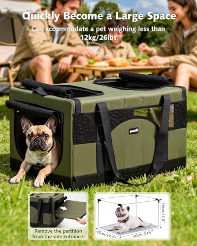 Large Cat Carrier (Green)