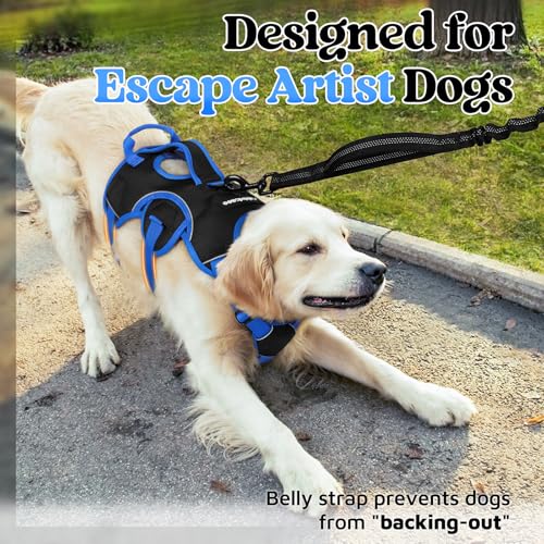 Escape Proof Dog Harness for Medium (Blue & Black / Medium)