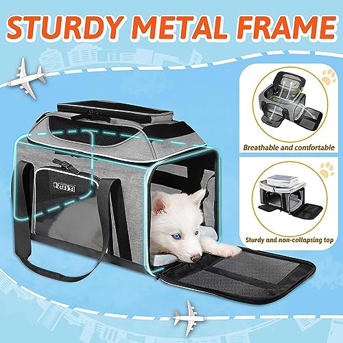 Top Expandable Small Pet Carrier 17"x12"x8.5" Airline Approved (17.0"L x 12.0"W x 8.5"H / Grey)
