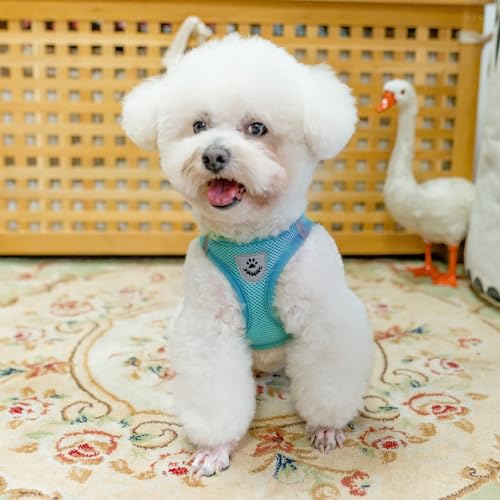 Dog Harness Collar and Leash Set No Pull for Small Medium Sized (Turquoise / S (CHEST 14.5"-16"))