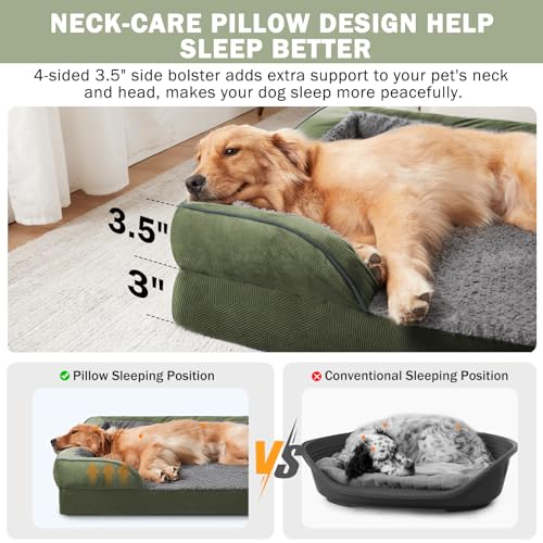 Orthopedic Dog Bed for Extra Large Dogs (XXL (48"x 35"x 8") / Green)