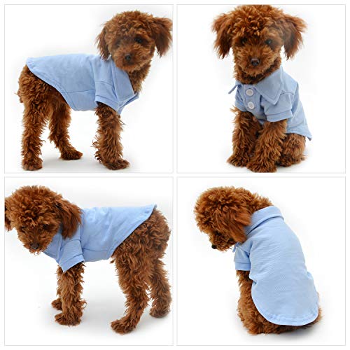 Basic Dog Polo Shirts Premium Cotton (XXXL (-75lbs) / Sky-Blue)