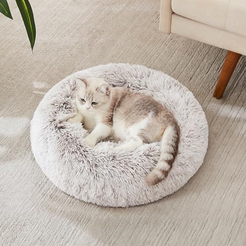 Western Home Calming Donut Cat Bed Small Dog Bed Washable (White Khaki / 20.0"l x 20.0"w x 6.0"th)
