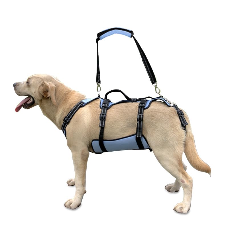 Dog Lift Harness (M / Blue)