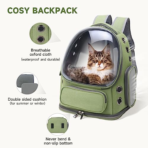 Cat Backpack Carrier (Green)