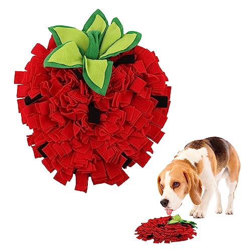 Snuffle Mat for Dogs