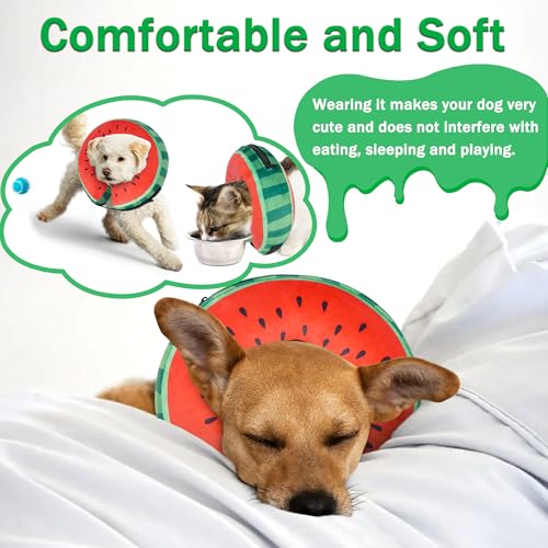 Recovery Donut Collar for Dogs & Cat (Watermelon / L（neck 14"-18"）)