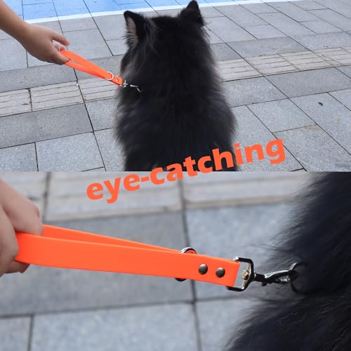 Short Dog Leash (10 inch / Blue & Orange)